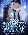 宠妻入骨:我闪婚了个财阀大佬