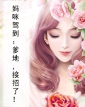 萌宝驾到总裁爹地快接招免费