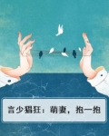 言少溺宠小逃妻全文阅读