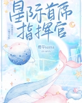 星际首席指挥官群像小说