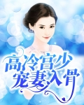 《高冷帝少宠妻入骨》