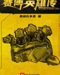 赛博英雄传