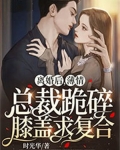 离婚后，薄情总裁跪碎膝盖求复合