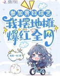 参加贵妇综艺,我摆地摊爆红全网