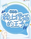 网球王子之赖上越前龙