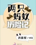 蚂蚁历险记怎么写