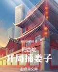 四合院：开局捅娄子