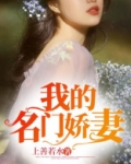 我的名门娇妻全文免费阅读全文
