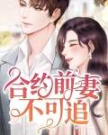 我的合约总裁前妻