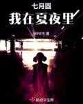 七月圆，我在夏夜里