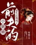 重生后我成了前夫的小舅娘工人
