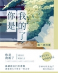 你是我的眼睛电视剧全集免费观看