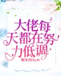 大佬每天都在努力低调
