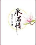 承君情