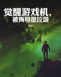 觉醒游戏机，被侮辱是垃圾