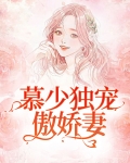 慕少独宠小逃妻全文阅读