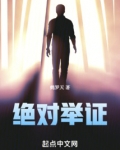 绝对举证小说第