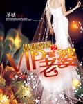 私婚之Boss的VIP老婆