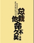 总裁他命不久矣（老祖地球生活指南）