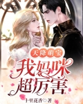 天降萌宝免费观看