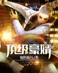 顶级豪婿