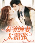 秦爷缠妻太嚣张漫画