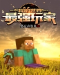 我的世界：最强玩家