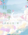 月光盒子沈恬周慎之