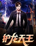 护龙天王