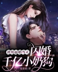 渣男追妻小说
