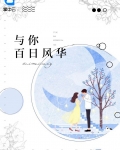 与你百日风华