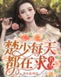 楚少每天都在求名分免费阅读