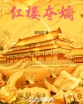 红楼夺嫡