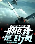 开局遭遇空难?别怕,我是飞行员免费阅读