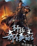 奇霞夺宝录