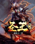 绝世圣王小说