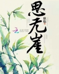 思无崖,唯卿可解