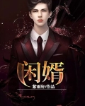闲婿来了王昊