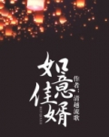 如意佳婿 小说