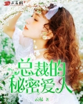 总裁的秘密爱人