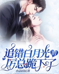 白月光追妻