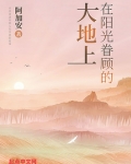 阳光照在大地