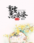重生恶婆婆的小说
