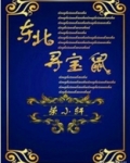 东北寻宝鼠