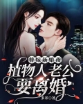替嫁新婚夜,植物人老公要离婚
