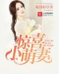 喜从妻来：傲娇老公，深深宠