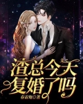 渣总又在作死了小说免费阅读