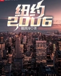 纽约2006小说