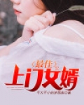 最佳上门女婿作者不大不小的梦想家