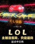 lol主播没落网只是退网TXT下载